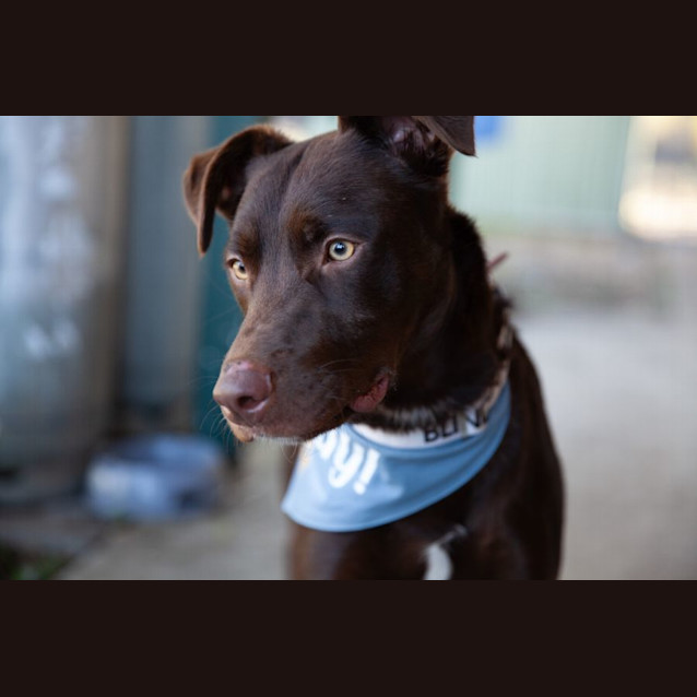 Photo of Hershey