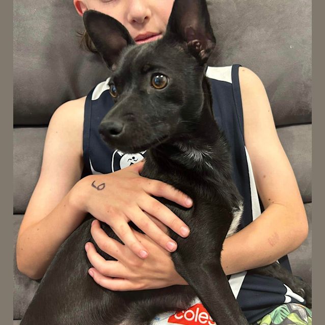 Photo of Pepper