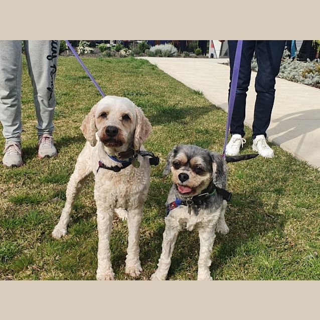 Photo of Jixa And Harley