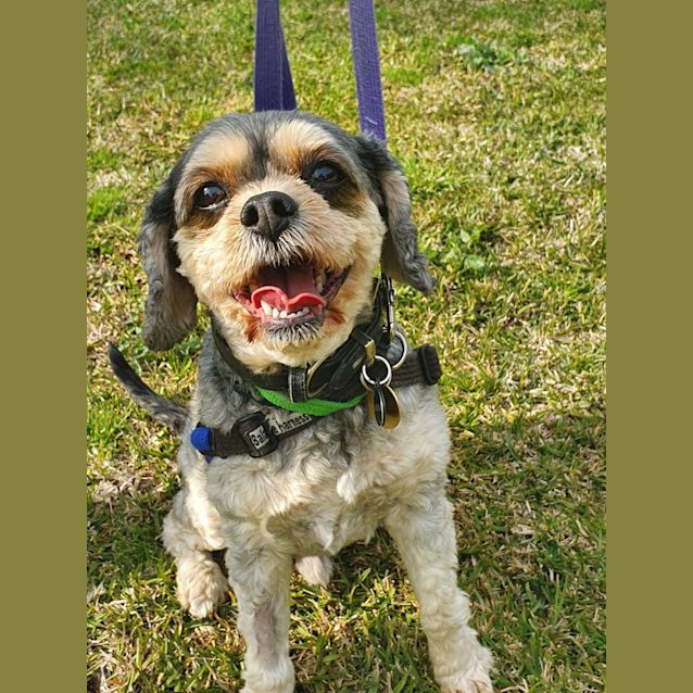 Photo of Jixa And Harley