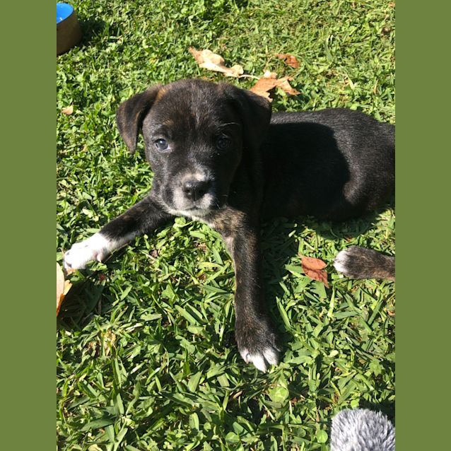 Photo of Cleo
