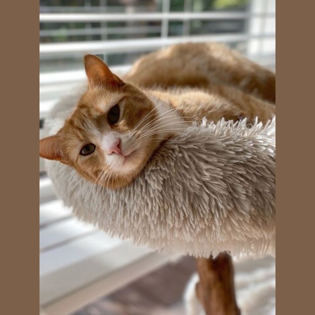 Photo of Penny Sta011323