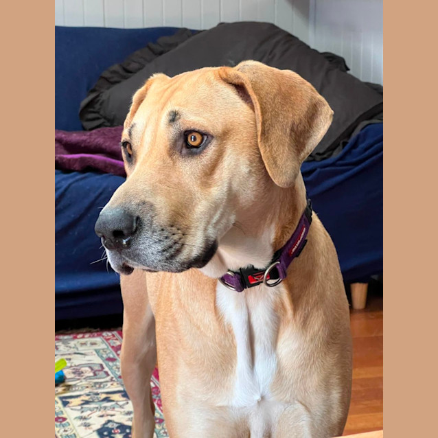 Photo of Freya 