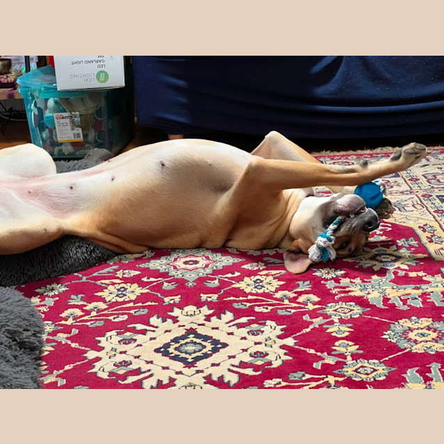 Photo of Freya 