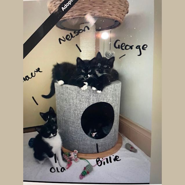 Photo of Billie And George