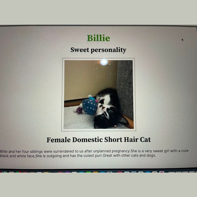 Photo of Billie And George