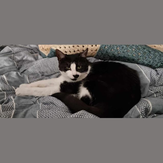 Photo of Luna And Lola