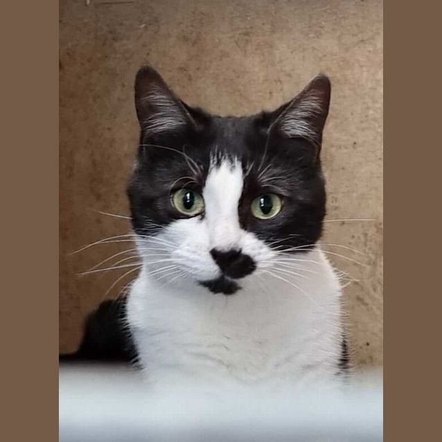 Photo of Luna And Lola