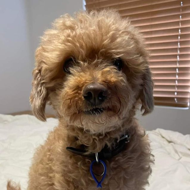 Photo of Jax