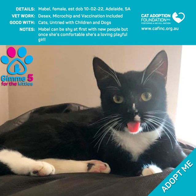 Photo of Mabel Just $39 Limited Time!