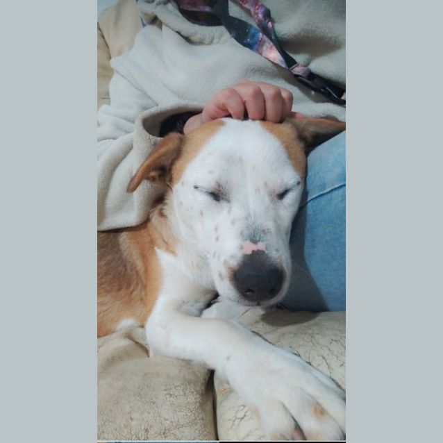 Photo of Lulu