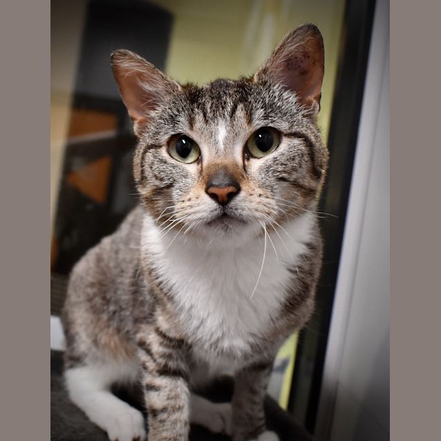 Photo of Sally