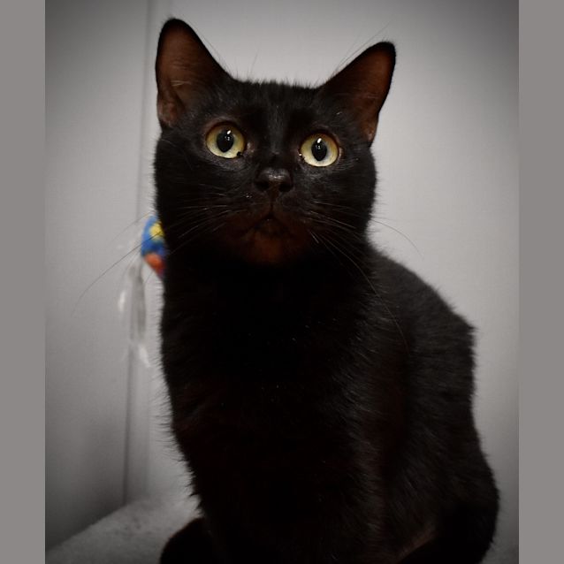 Photo of Bubbles
