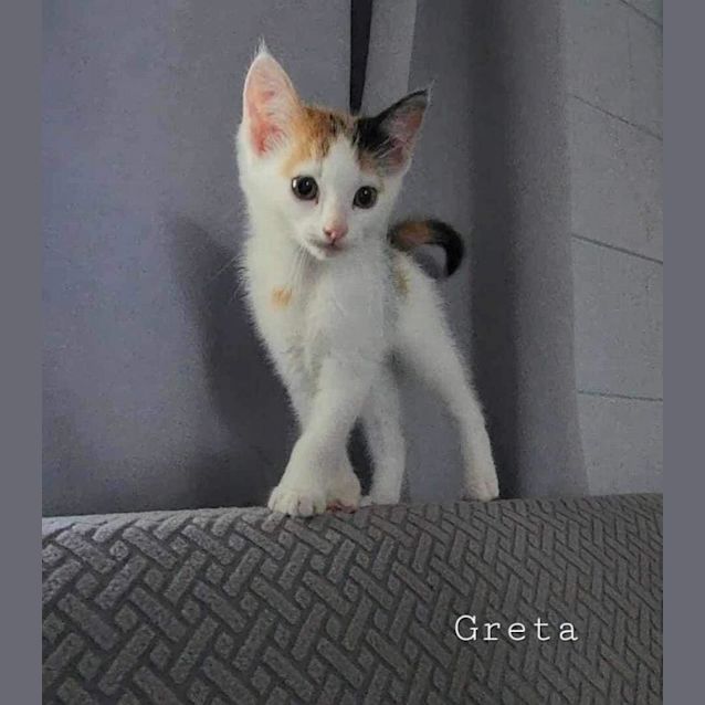 Photo of Greta