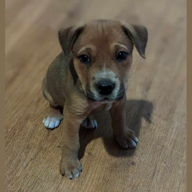 Photo of Charlie