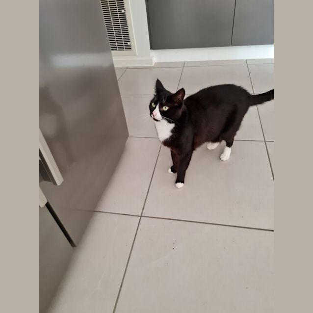 Photo of Billie And George