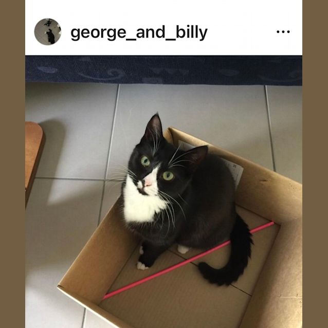 Photo of Billie And George