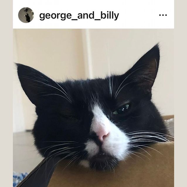 Photo of Billie And George