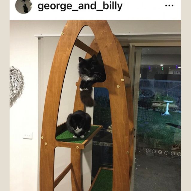 Photo of Billie And George