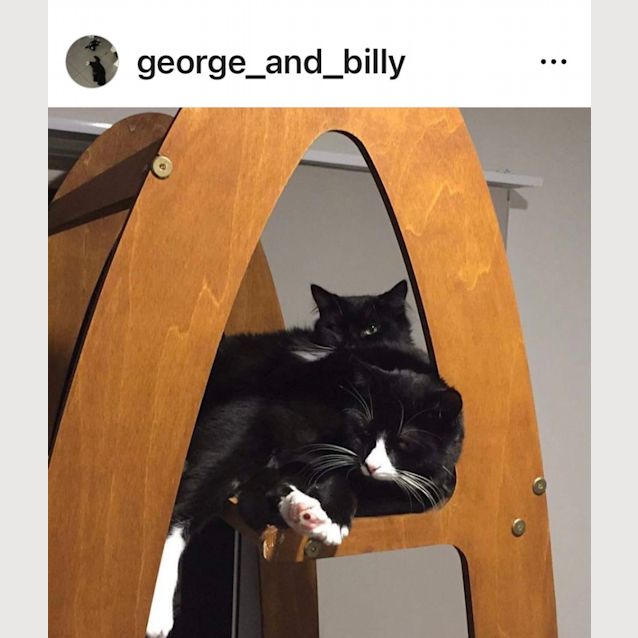 Photo of Billie And George