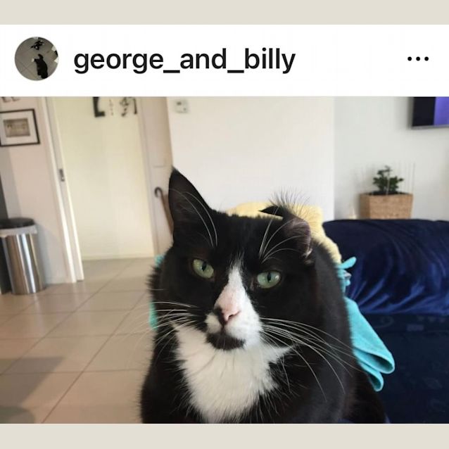 Photo of Billie And George