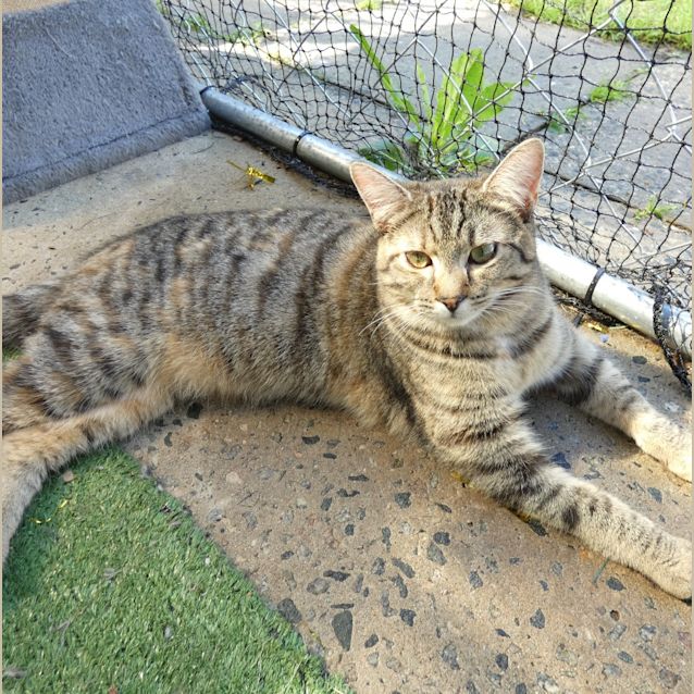 Photo of Thalia