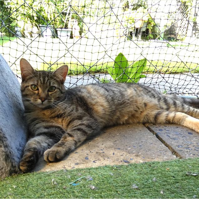 Photo of Thalia
