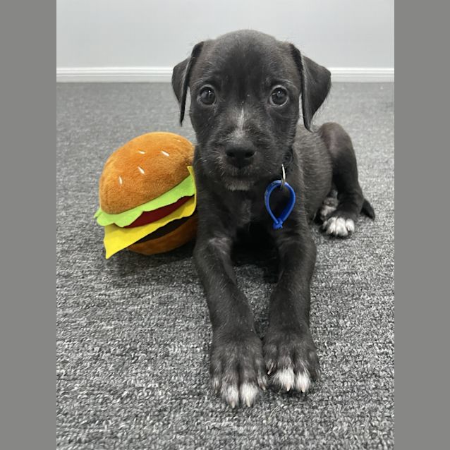 Photo of Storm