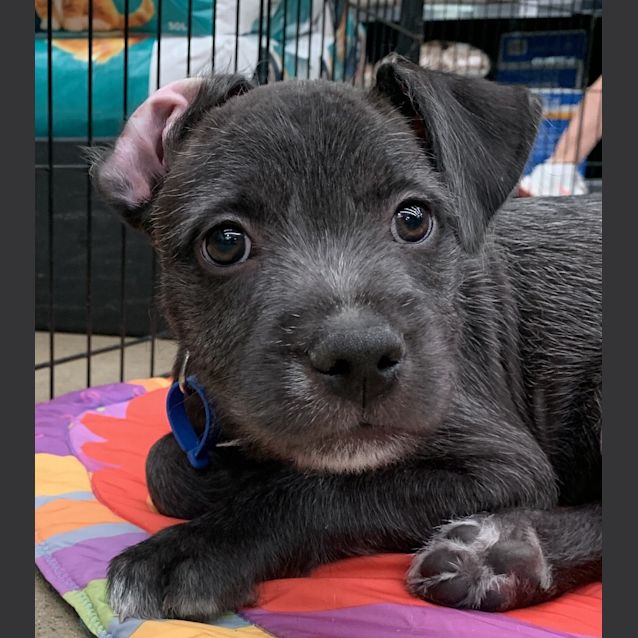 Photo of Storm