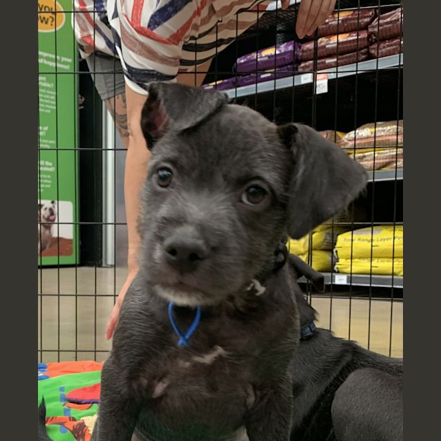Photo of Storm