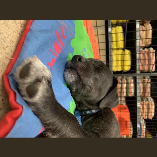 Photo of Storm