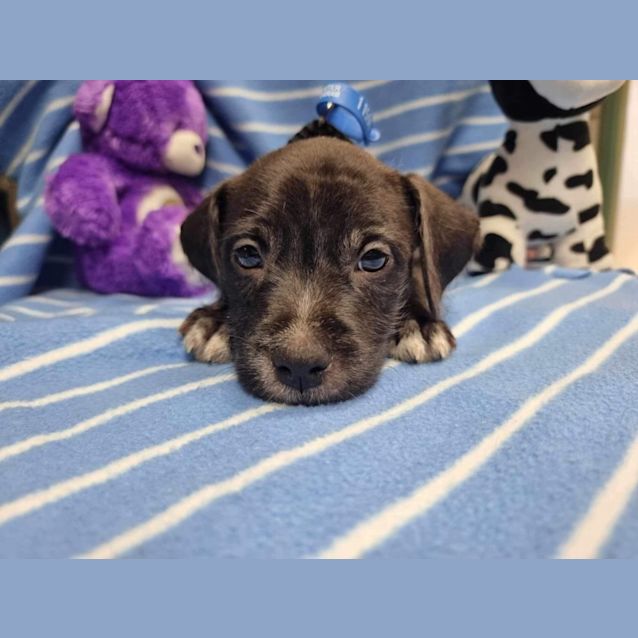 Photo of Storm