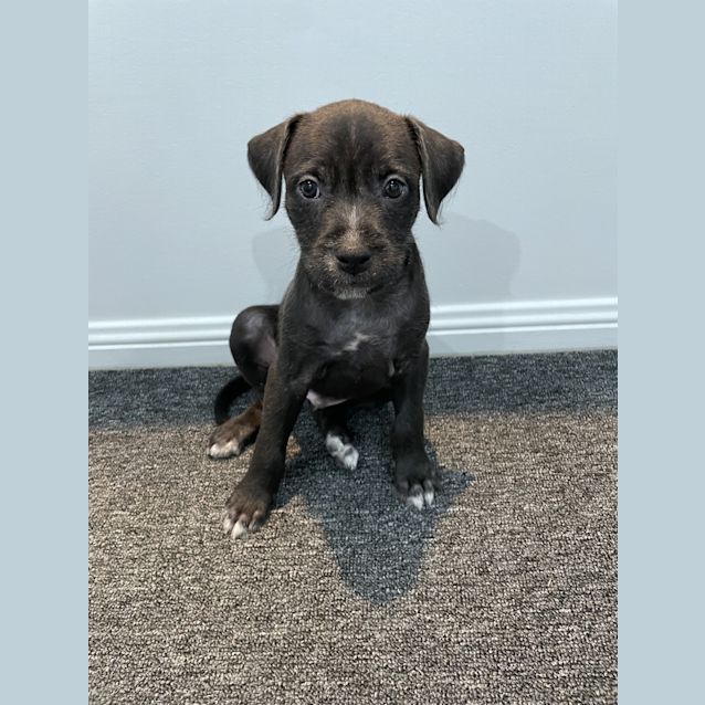 Photo of Storm
