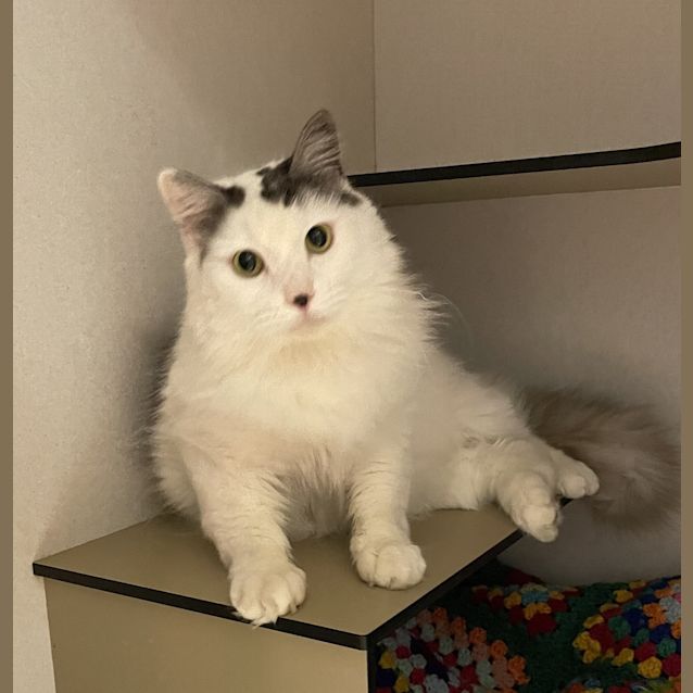 Photo of Wilbur