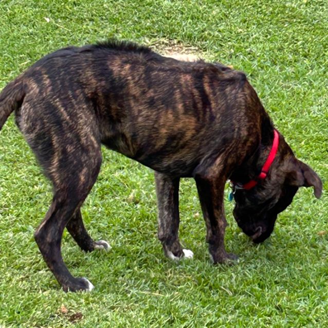 Photo of Ridge