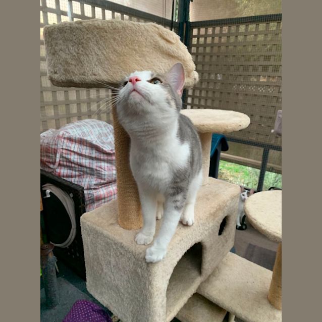 Photo of Dusty