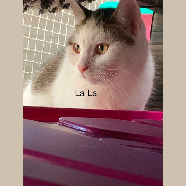 Photo of La La