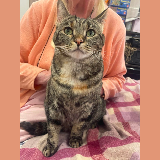 Photo of Nutmeg
