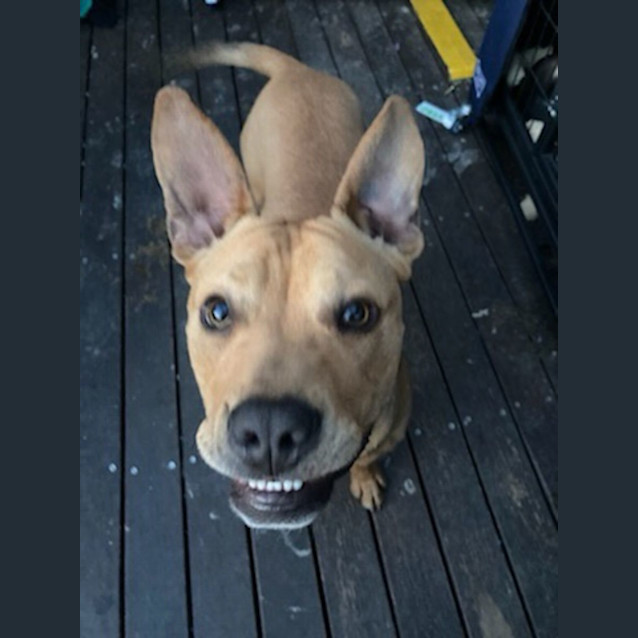 Photo of Theo