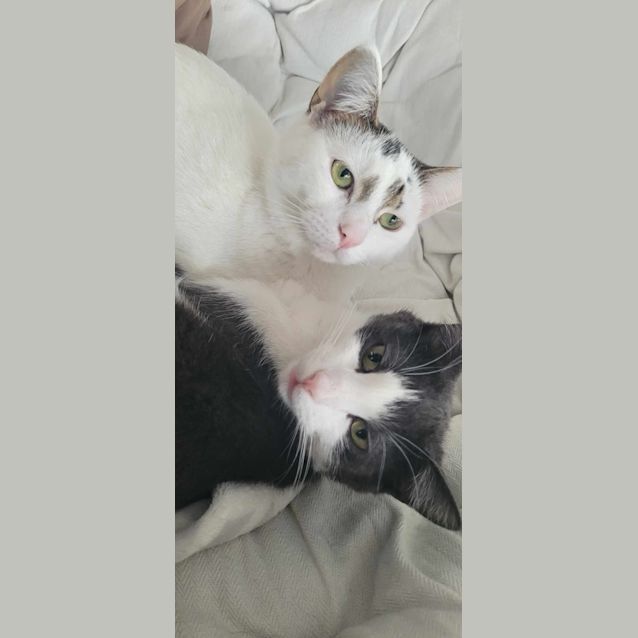 Photo of Dunkin & Herb