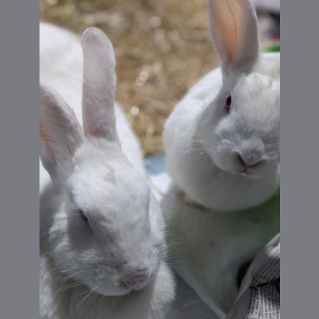 Photo of Elsa And Annabell