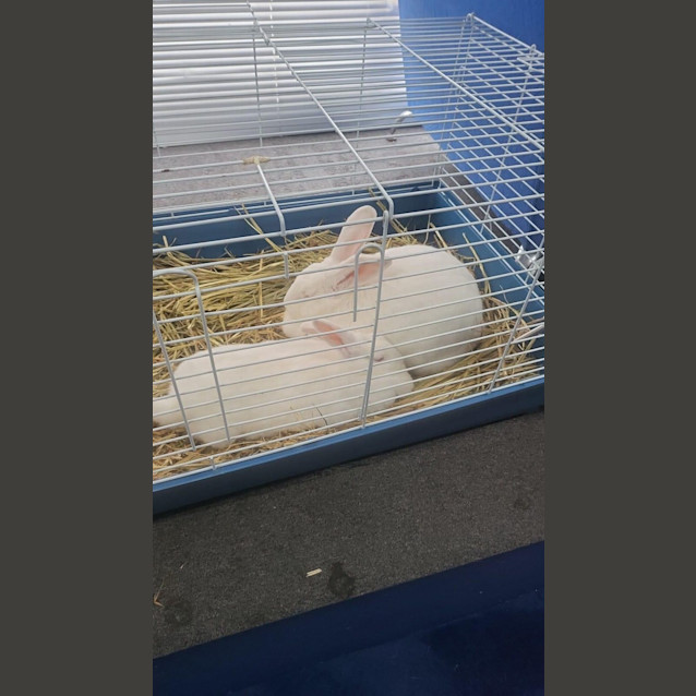 Photo of Elsa And Annabell