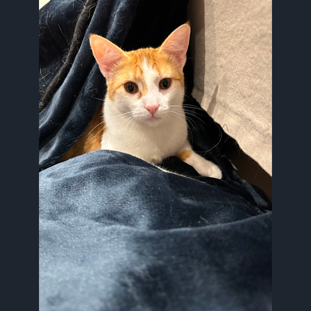 Photo of Ground Control To Snappy Tom