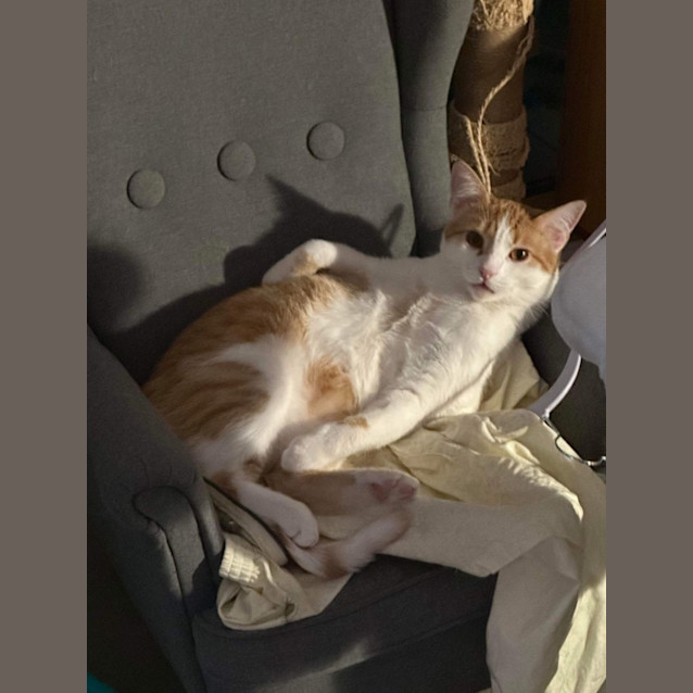 Photo of Ground Control To Snappy Tom