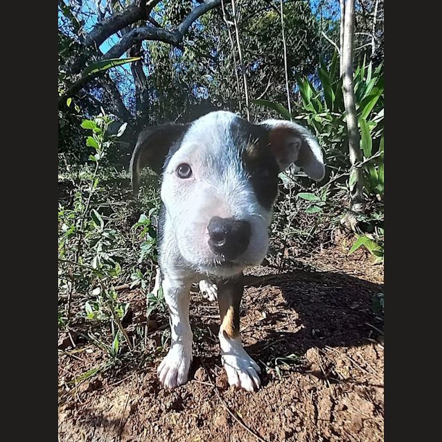 Photo of Rand