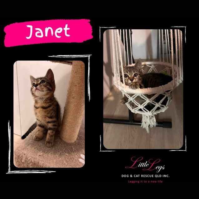 Photo of Janet