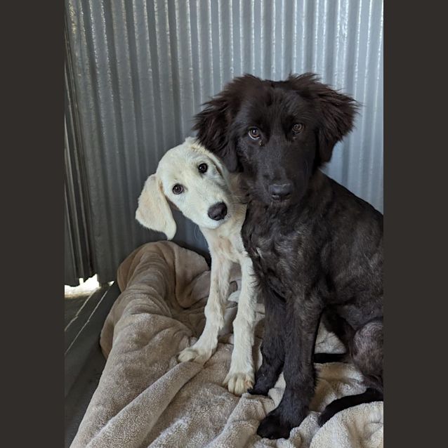 Photo of Mj & Sophie