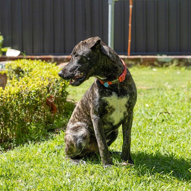 Photo of Vinnie