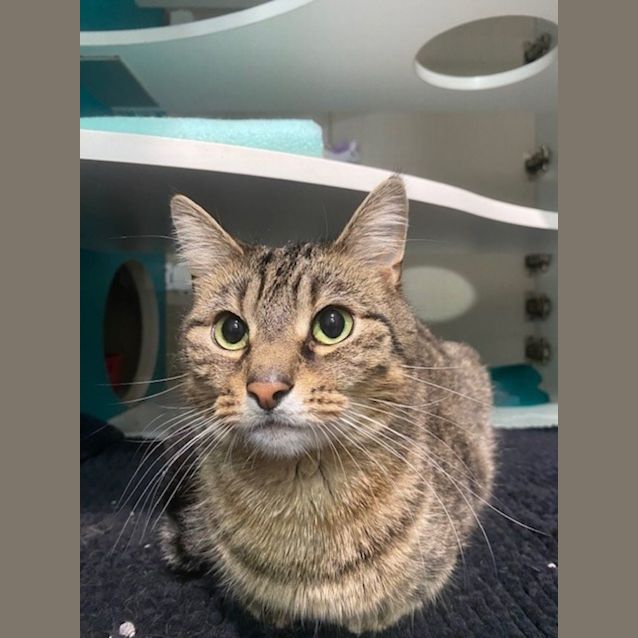 Photo of Oakley