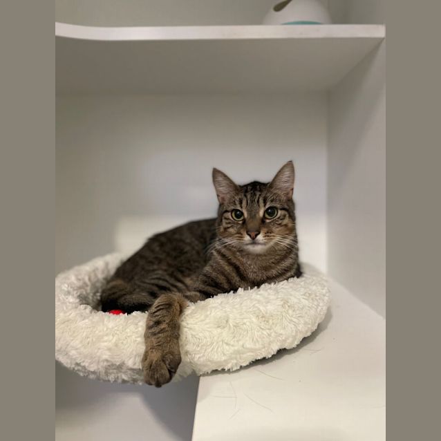 Photo of Oakley